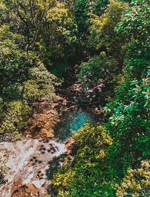 black-river-gorges-hiking-mauritius