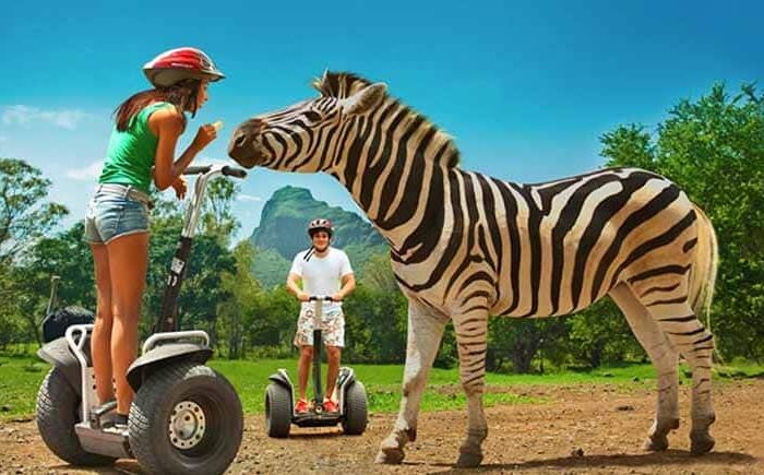 Visit Casela Nature Park