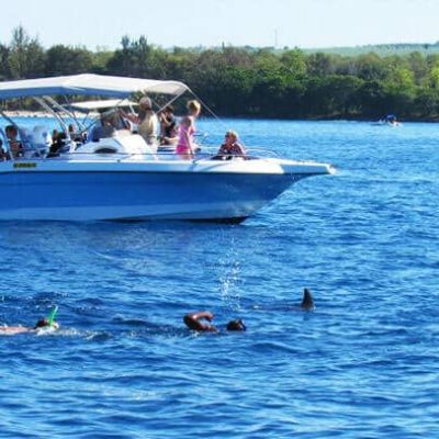 Swim with Dolphins in Mauritius