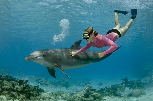 与海豚一起游泳毛里求斯 - 毛里求斯最好的水上运动