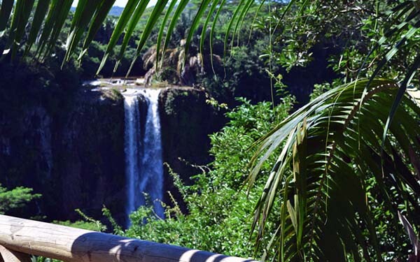Alexandra Wasserfälle Mauritius