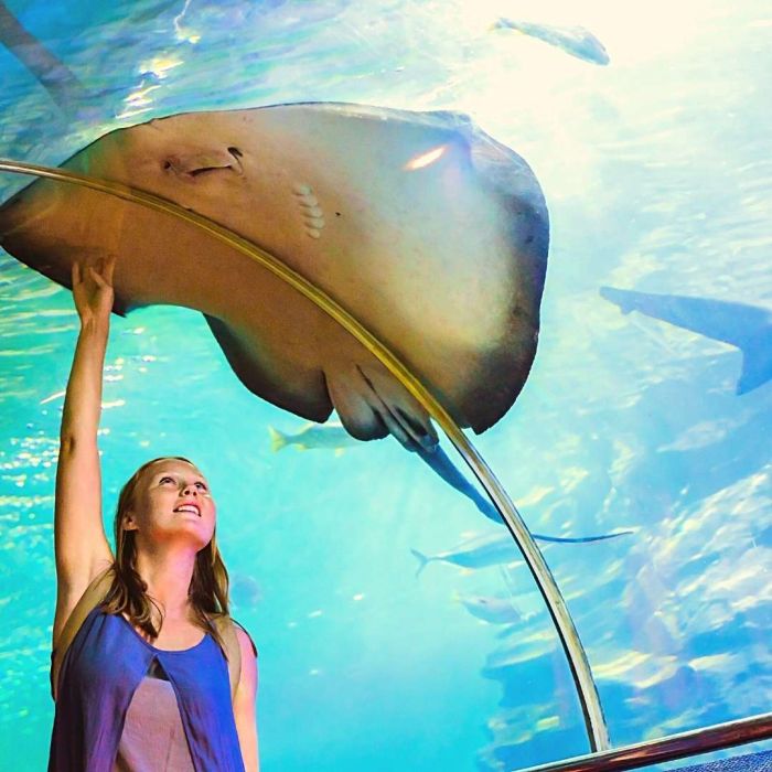 Odysseo Mauritius Oceanarium