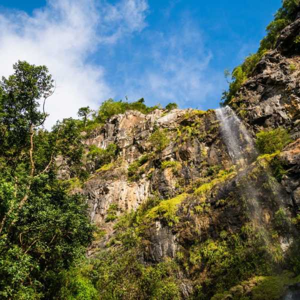 Buchen Sie eine Wanderung in den Black River Gorges