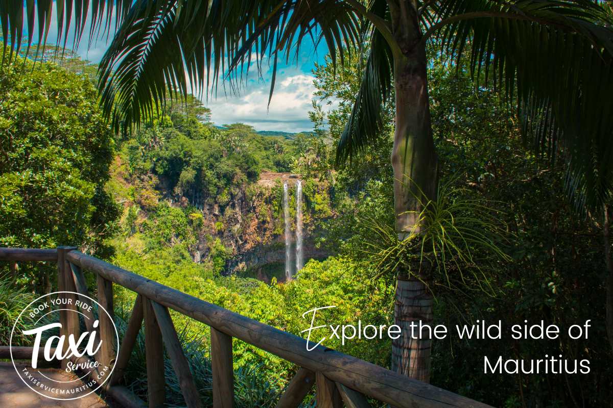 Mauritius Uncovered Entdecken Sie die wilde Seite von Mauritius
