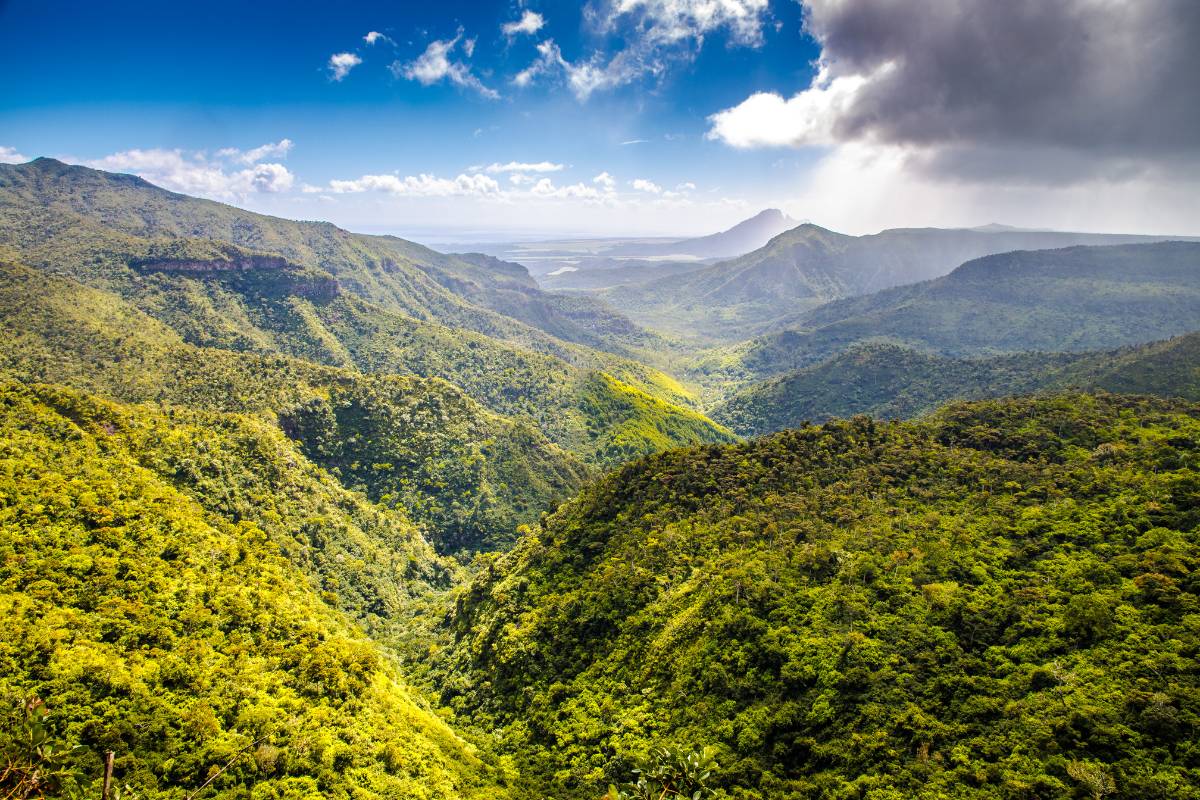 Wandern in der Black River Gorge – Sonnenaufgangswanderungen auf Mauritius