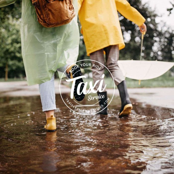 When is Mauritius' Rainy Season - Taxi Service Mauritius
