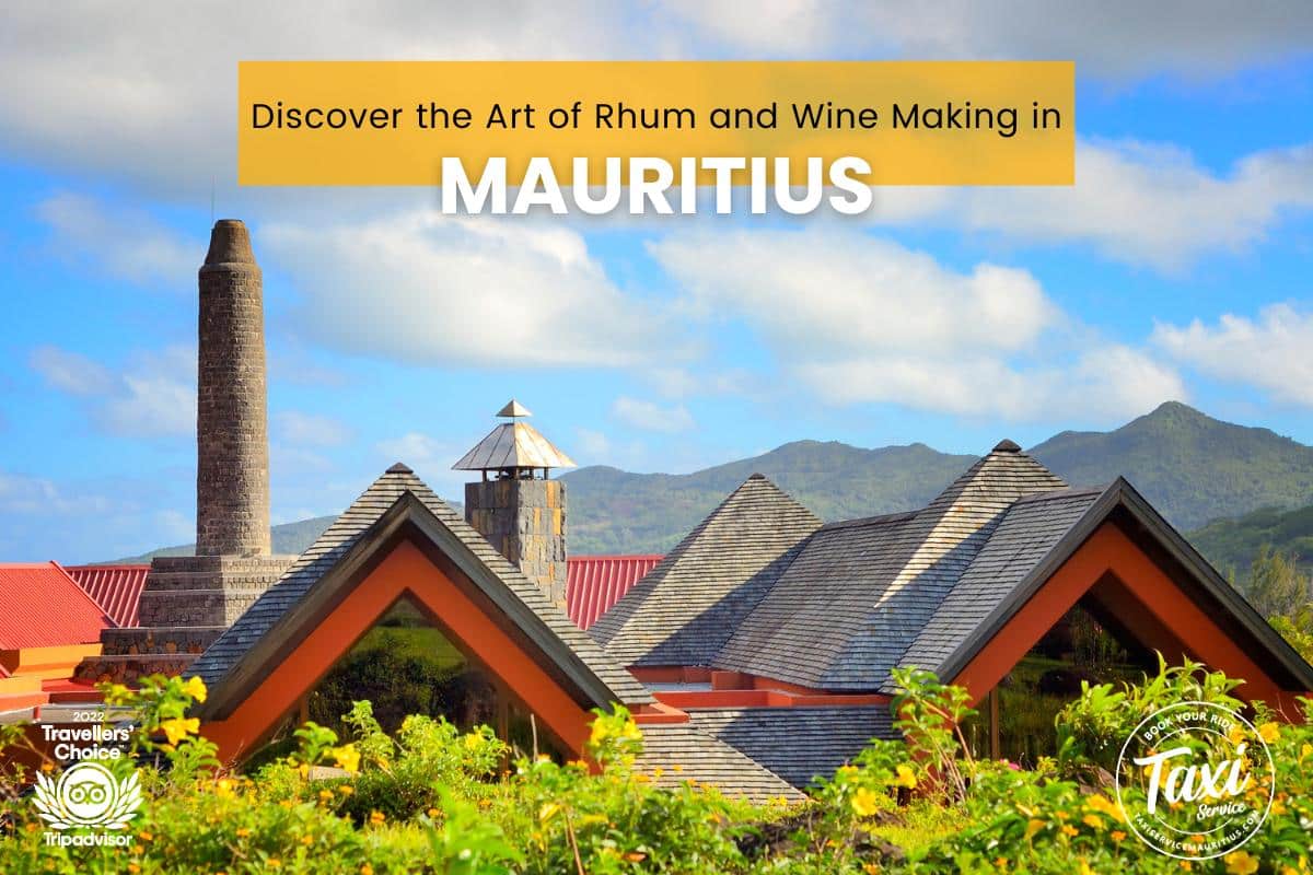 Découvrez l'art du rhum et de la vinification à l'île Maurice