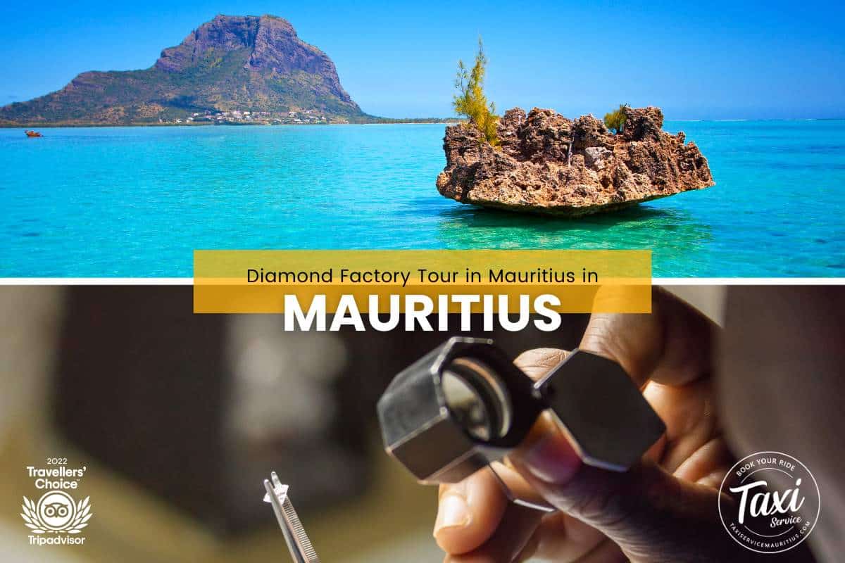 Visite de l'usine de diamants à l'île Maurice : un mélange étincelant de divertissement et de tourisme