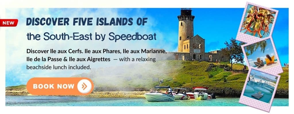 5 Islands Speedboat Tour in the South East Mauritius