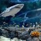 Odysseo Oceanarium Mauritius