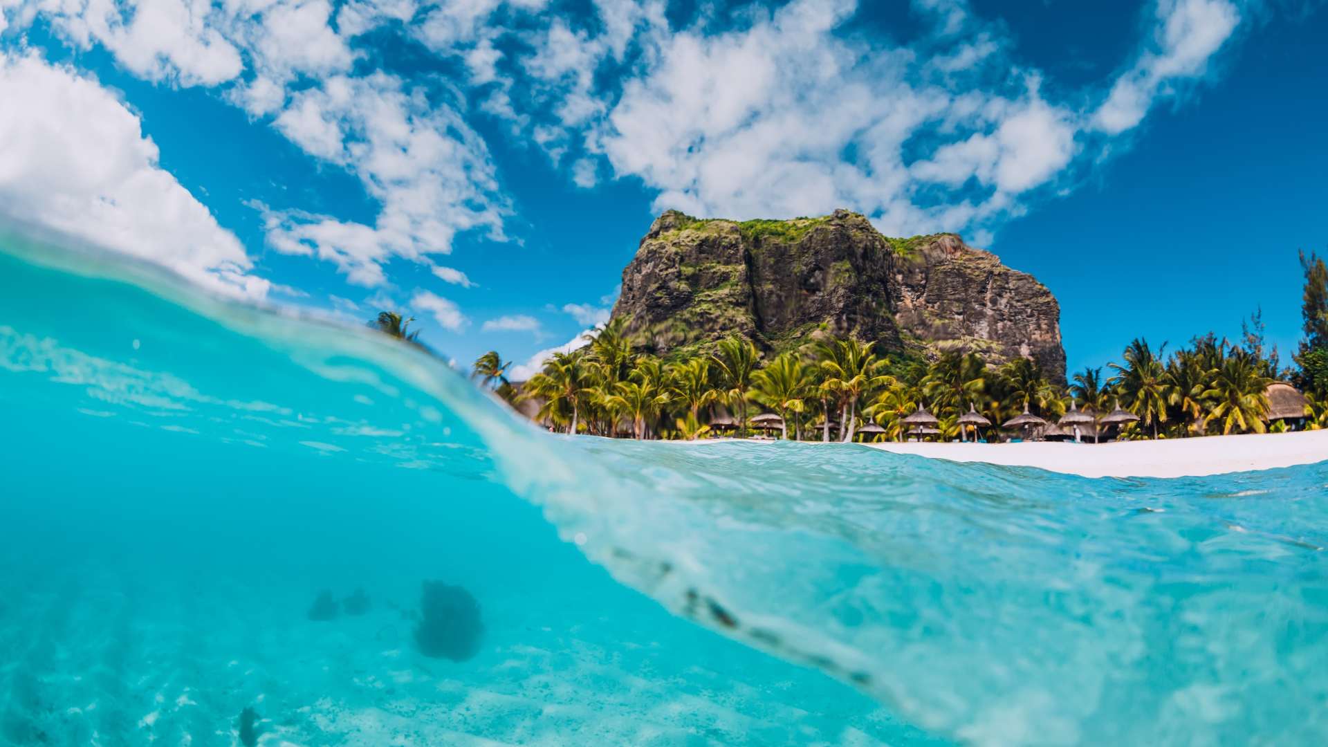 毛里求斯岛天气| 气候及2026年最佳旅游时间